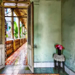 Markenprodukt House of Magali - Havana