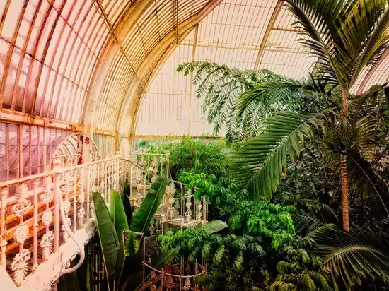 Kew Gardens II Super-Preis