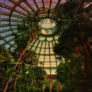 Neu Royal Garden, Brussels II