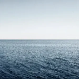 39° 33' 49.5'' N 2° 38' 29.5'' E Direktkauf