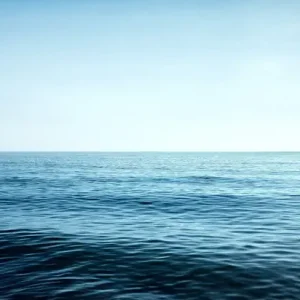 BLUE Garantierte Lieferung