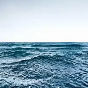 Echt Sea #13