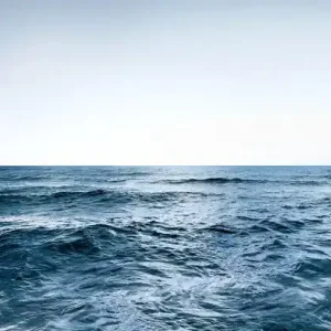 Sea #14 Knallerangebot