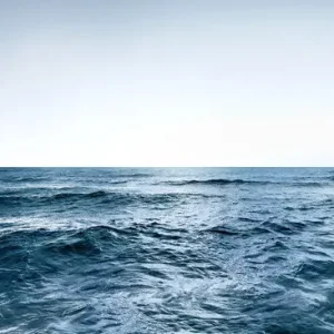 Sea #14 Preiswert