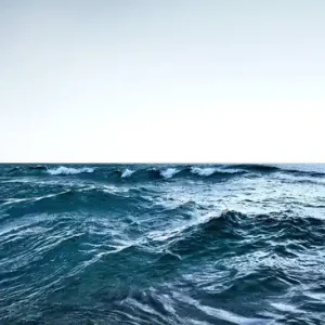 Preis Gesenkt Sea #15
