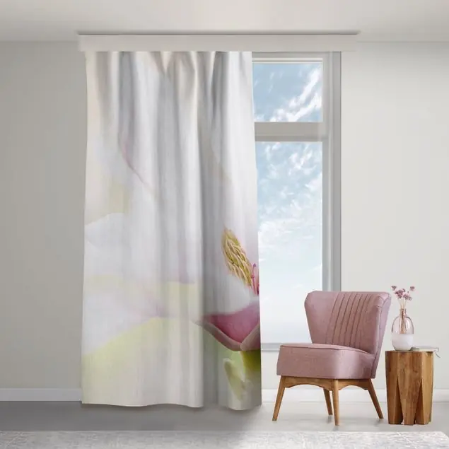 Zarte Magnolienblüte Top-Preis