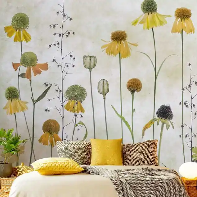 Zarte Helenium Blüten Preiswert