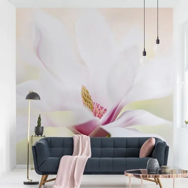 Zarte Magnolienblüte Super-Preis