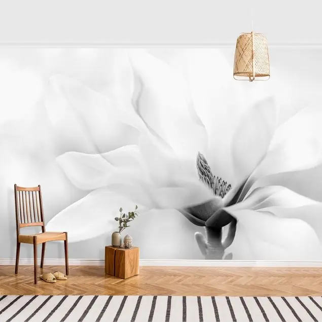 Zarte Magnolienblüte Schwarz-Weiß Jetzt Kaufen