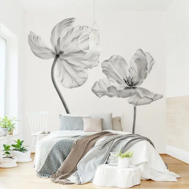 Zwei zarte weiße Tulpen Billig