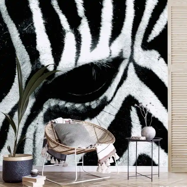 Zebra Crossing Saisonangebot