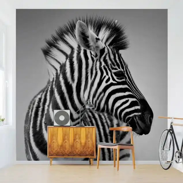 Zebra Baby Portrait II Ausverkauf