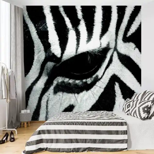 Zebra Crossing No.4 Bestpreis