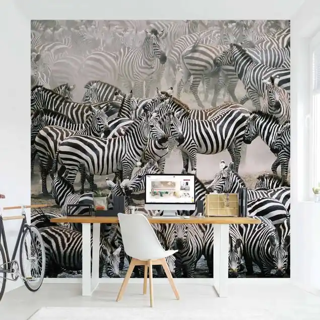 Zebraherde Kostenfreie Lieferung