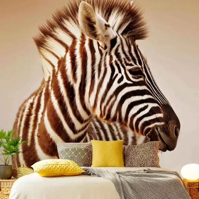 Zebra Baby Portrait Nur Für Kurze Zeit
