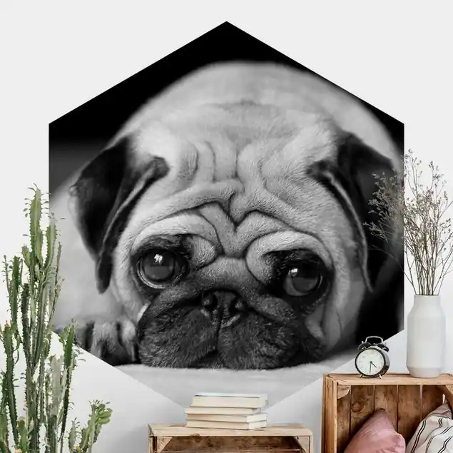 Zertifiziert Pug Loves You II