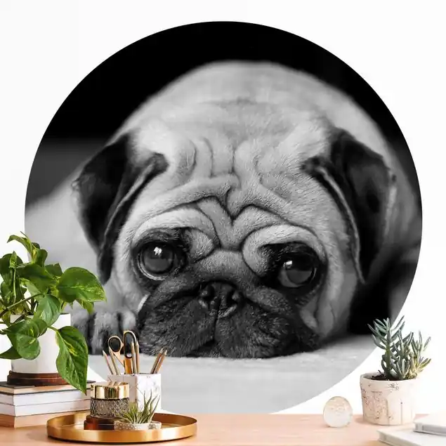 Wochenendangebot Pug Loves You II