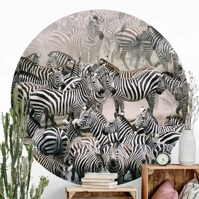 Zebraherde Neue Kollektion