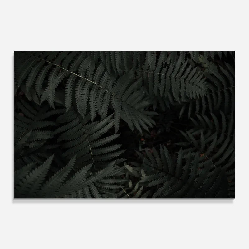 Abverkauf Küchenrückwand Glas Tropical Leaf Forest