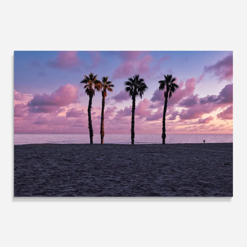 Abverkauf Küchenrückwand Glas Palm Trees Beach