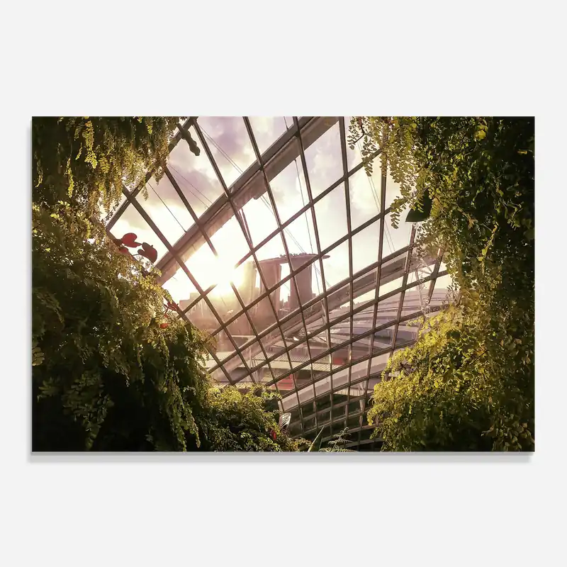 Abverkauf Küchenrückwand Glas Cloud Forest