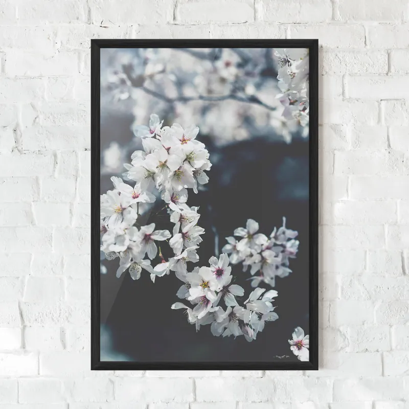 Gerahmte Poster White Tree Top-Seller
