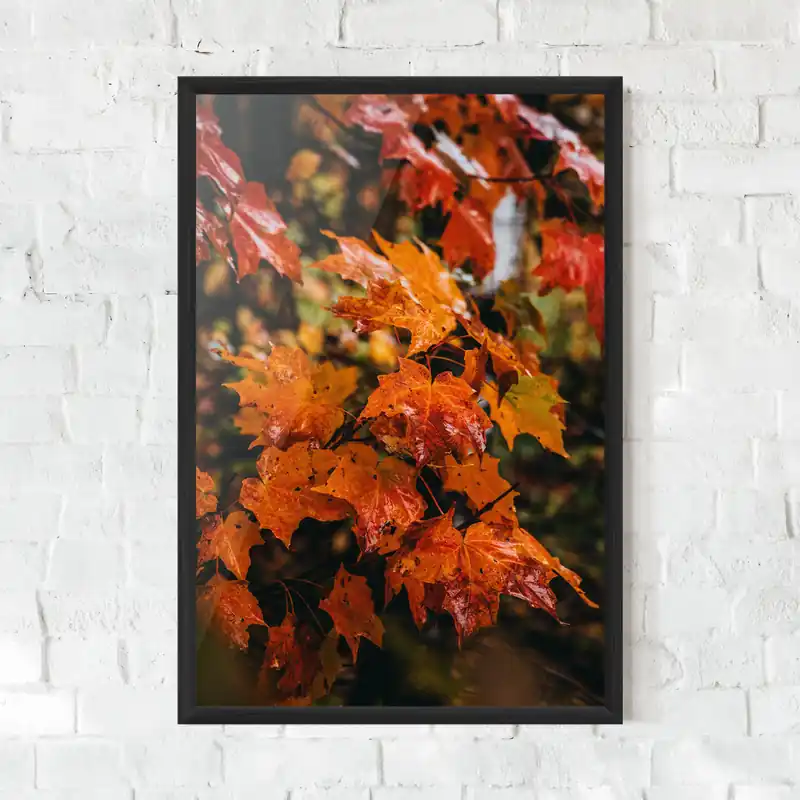 Knallerangebot Gerahmte Poster Orange Autumn Leaves