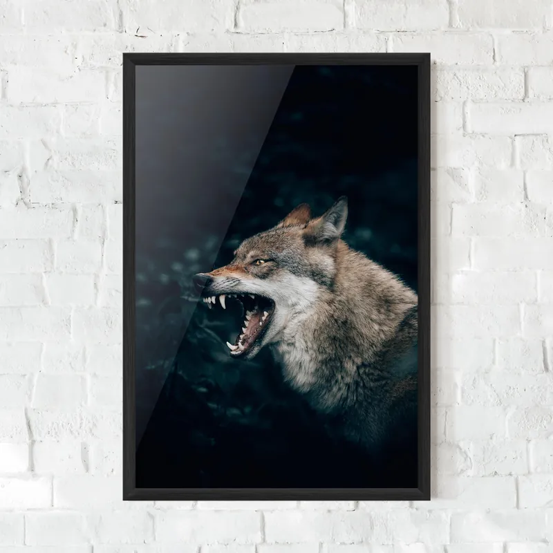 Abverkauf Gerahmte Poster Angry Wolf In The Forest
