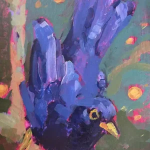 Highlight Amsel im Baum